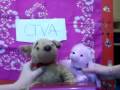 CTVA News 4