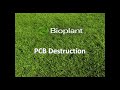 Bioplant PCB Destruction Plant