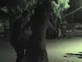 Tarantella in Puglia (taken at the Notte della Taranta)