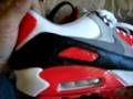 AIR MAX 90 INFARED RED PREMIUM(OSTRICH SKIN)