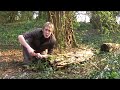 Britain in COLD BLOOD - The Smooth Newt (snake prey)