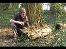 Britain in COLD BLOOD - The Smooth Newt (snake prey)