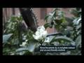 Recycle Kitchen waste by a simple method & save Green Envir