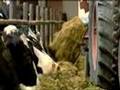 EU set for new debate on cutting farm subsidies