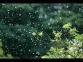 8月のクリスマス動画2