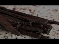 Fabrication Crèmes glacées et sorbets