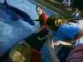 Marineland Commercial - Friendship Cove 1
