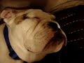 DuvaL sleeping