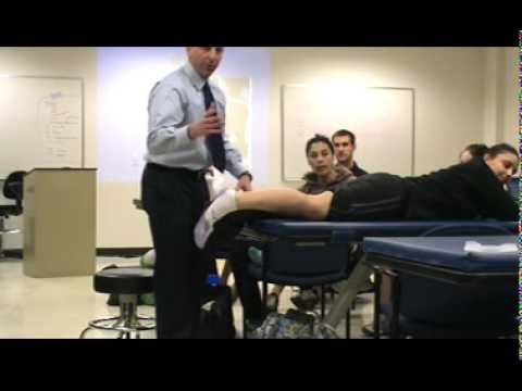 how to isolate biceps femoris