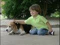 Pet Dog Resort comercial 1