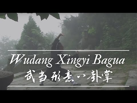 形意Bagua - 萧剑 武当玄武派十六代传人 武當玄武功夫館 www.wudang999.com Tel: 86-(0)719-5652639 Mobile: 86-136-3619-2775 Xiao Jian Wudang Xuanwu Style Sixteenth Master Wudang Xuanwu Gongfu ...