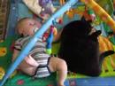 Leo Patting Oreo