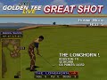 Golden Tee Great Shot on Bonnie Moor!
