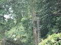 zip line at merl garden resort lake sebu south cotabato