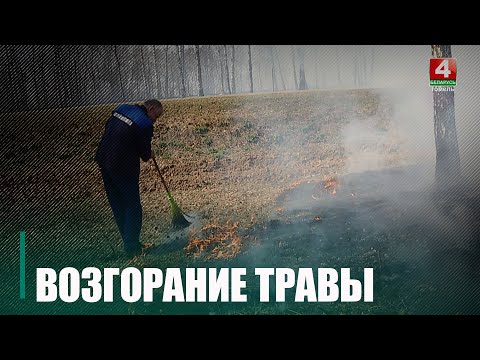 У Гомельскай вобласці павялічваецца колькасць узгаранняў травы видео