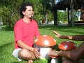 Carpinteiros do Universo - Episódio I - Cogumelos