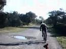 btt begur trastu