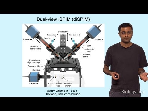 ASI - Dual-View Inverted Selective Plane Illumination (diSPI