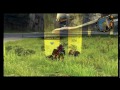 Click here to watch this video [Lets Watch] Xenoblade Chronicles Gameplay #54 HQ [Gameday2011] Side Questing Exploring