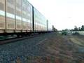 BNSF running north @ Nicolaus, CA