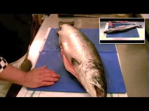 how to know fresh fish