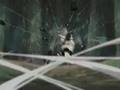 AMV - Tribute to Neji Hyuuga