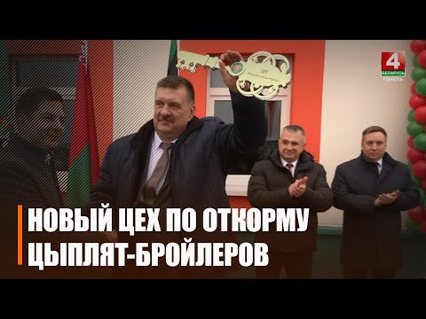 780 000 голов птицы или 10 000 тонн мяса в год. Под Буда-Кошелевом открыли цех по откорму цыплят-бройлеров видео