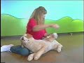 LASSIE\ LASSIE\