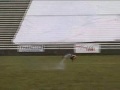 T-REX 600 Nitro Pro - Lukas Riva y Petr Novotny