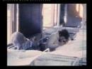 videos de Farnham scenes 1977