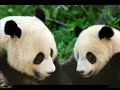 Butterstick and his Mommy Butterstick and his Mommy