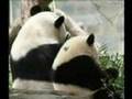 Butterstick and his Mommy