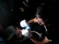 videos de Hermes Lightshow @ Lovefest 2008