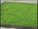 (3) Product Preparation