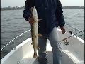 W?dkarstwo - Fishing - wzdr?gi i szczupaki - Jezioro Wieczno 2008