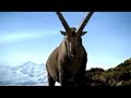 Schweiz Bundner Bergen