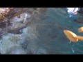 Uni Harvesting