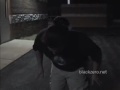 Black Zero Pepper Spray