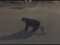 Just some hoops (Dunks, alleyoops, humiliation)
