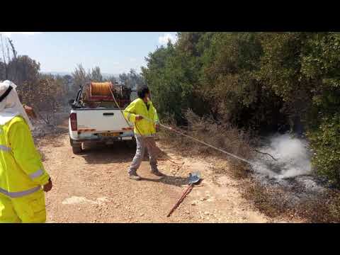 נזקי השריפה בהרי ירושלים לשמורות הטבע