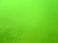 Trinidad and Tobago Video