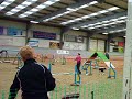 Millie, Graded 4-5 Agility, Wilmslow, Nov 21
