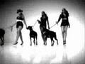 COMMENTED-desteny-s-