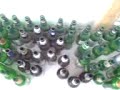 safranek´s bottle garden