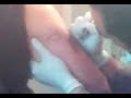 Tatuaje del Mauro...seee xD