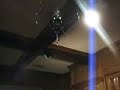 Micro Mosquito