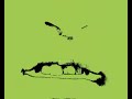 video allucinazione di parole liquide secondo la visione gattogga