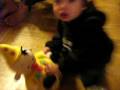 videos de Gino en bumba