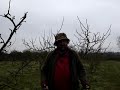 Fruitwise guide to apple tree pruning-using the saw