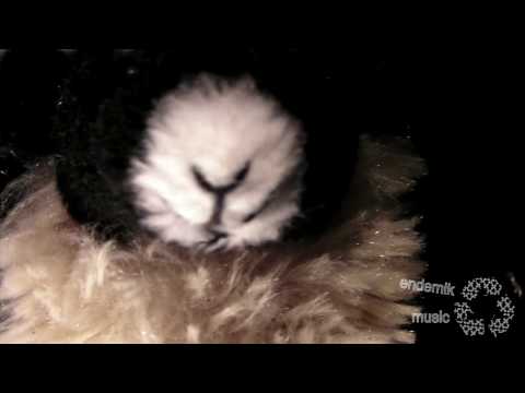 Prinzenallee (Bleubird + Jayrope) – The Goat vs. The Panda Part I /promo video